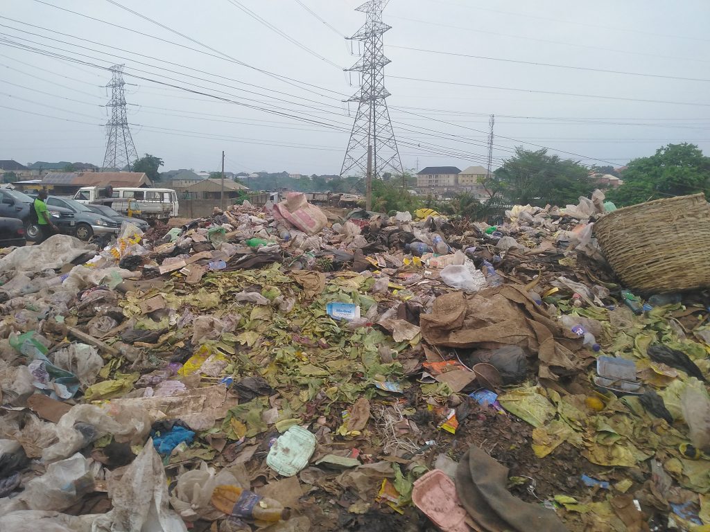 Garbage dumps in New Artisan market |