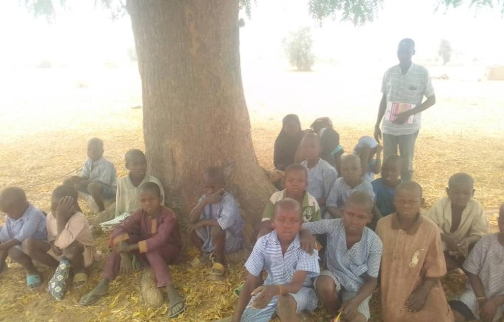 Pupils learning under a tree