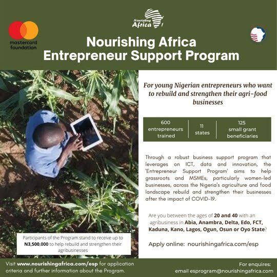 Funded by MasterCard, USADF, Dismantled By Staff Greed. The Collapse of Ndidi Nwuneli's Nourishing Africa Programme