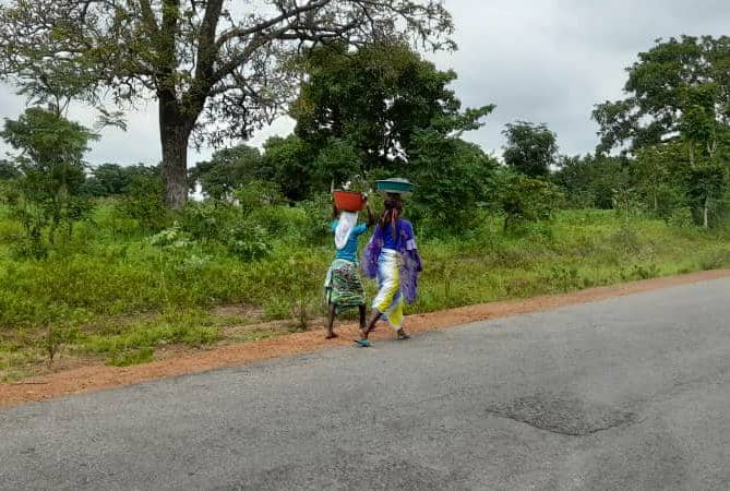 SPECIAL REPORT: Inside Oyo Communities Where Girls Abandon Schools to Milk Cows