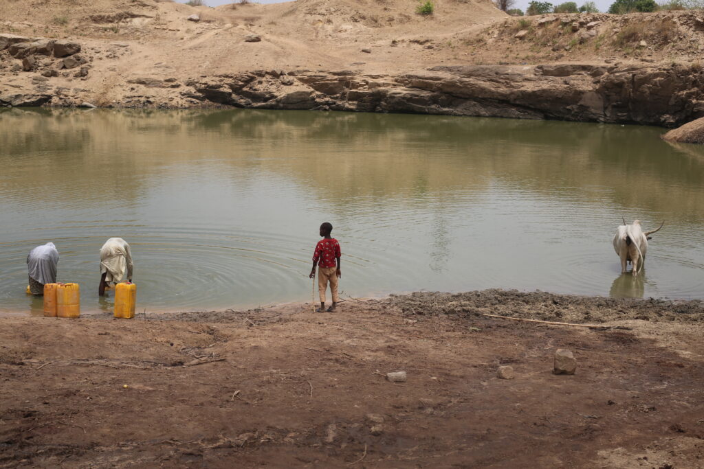 Shepherd boy watches on as his immersed cows drink from lake metres away from two adults who fetch same water. || Picture Credit: Daniel Ojukwu/FIJ