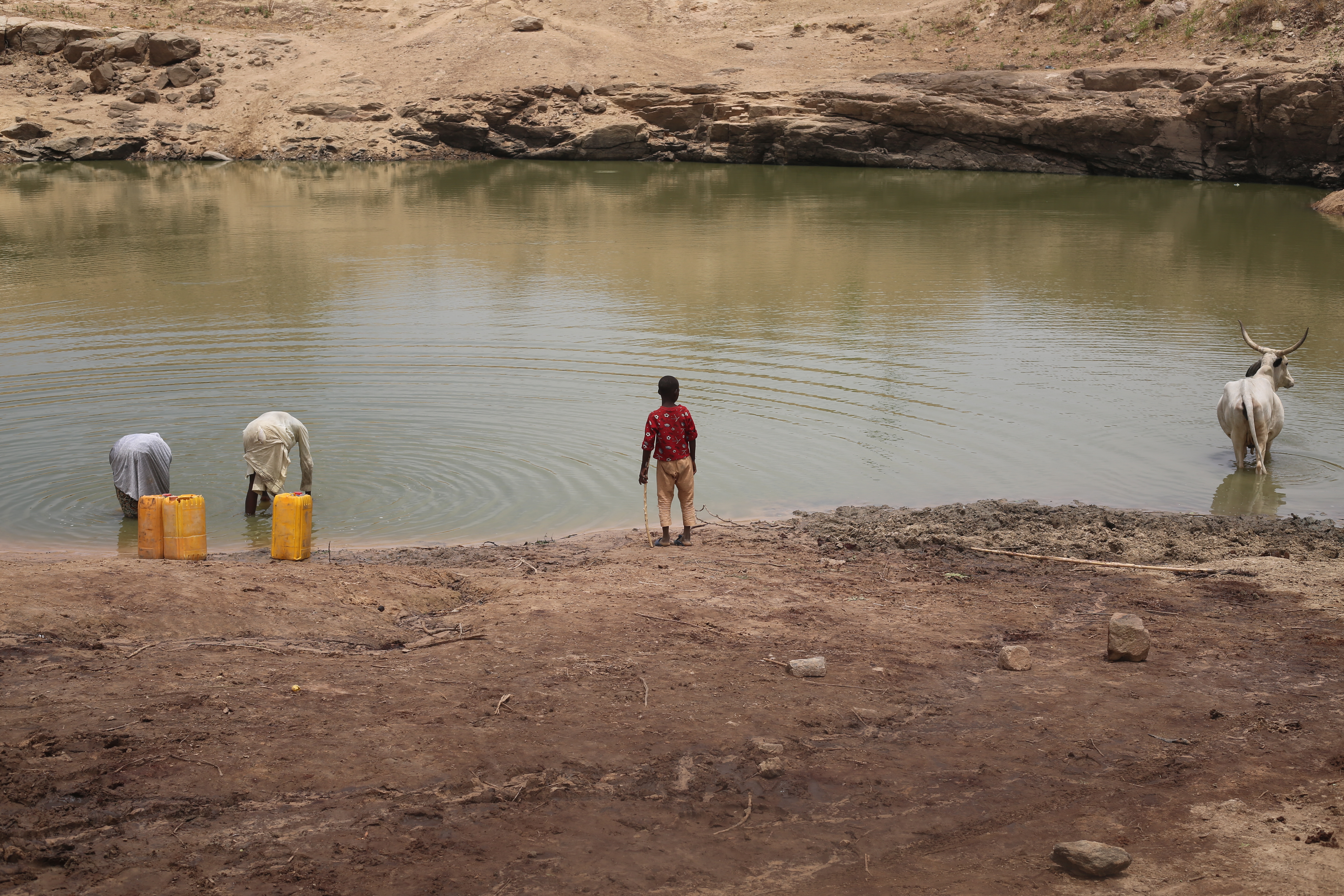 REPORTER's DIARY: Kano Community Where Humans, Cattle Drink From Same Lake
