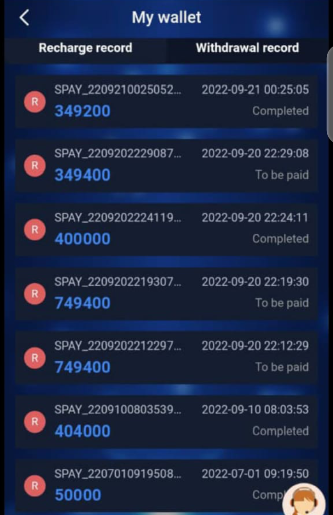 Platform Wallet Records Shared by One of Brad's Participants