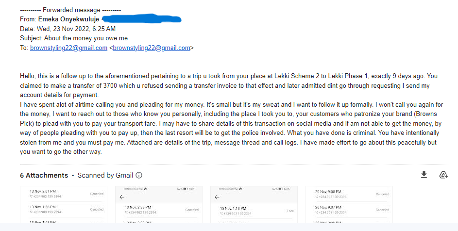 Email from Emeka Onyekwuluje to the CEO of Brown's Pick 