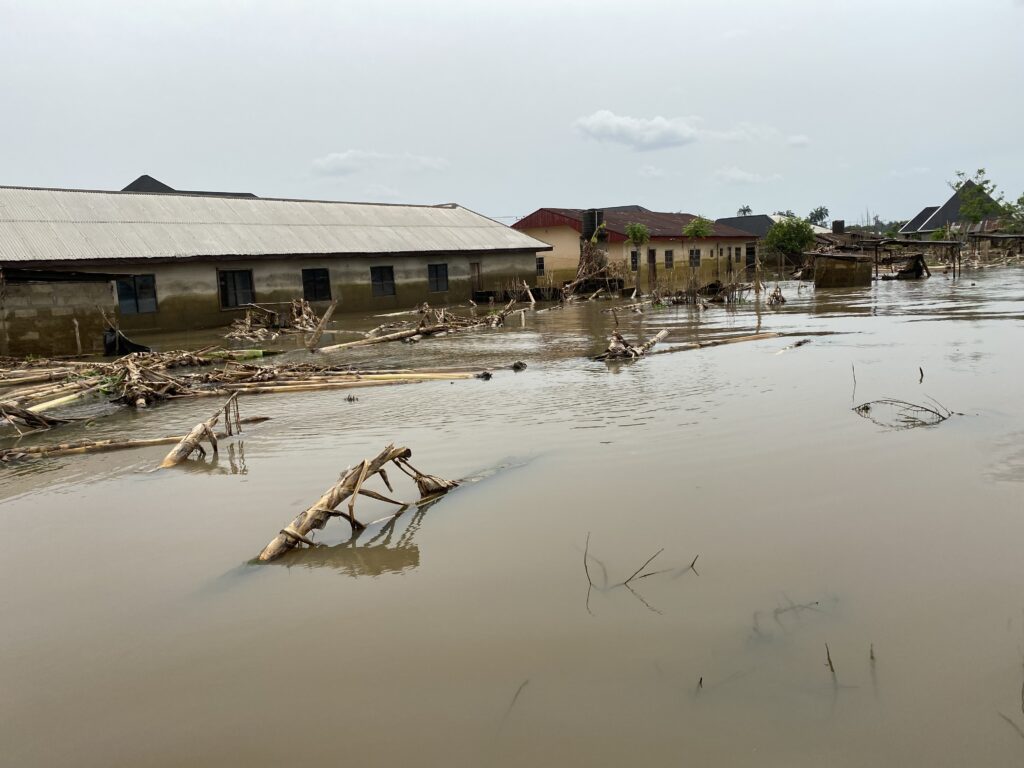 A deserted area of land in Beneku community with fallen plantain trees  || Photo Credit: Emmanuel Uti/FIJ
