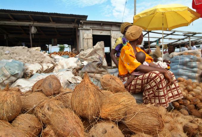A coconut seller