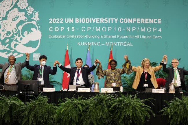 COP15 Ends With Global Biodiversity Agreement