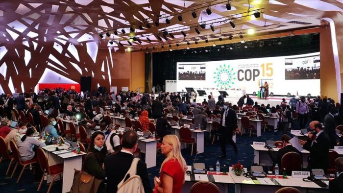COP15