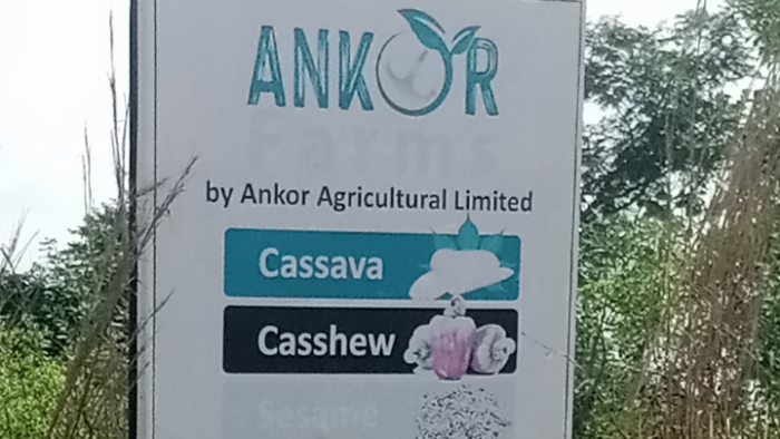 Ankor Limited