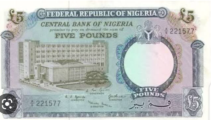 The Nigerian Pound