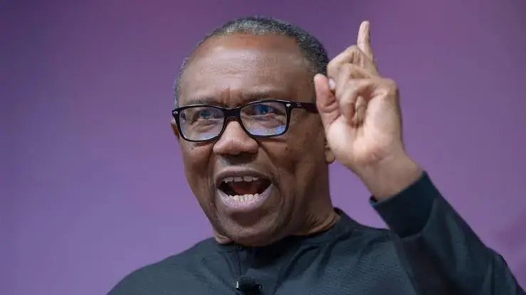'Snatching Rose Sharply Under Tinubu' — Peter Obi Knocks President Over Rise in Insecurity