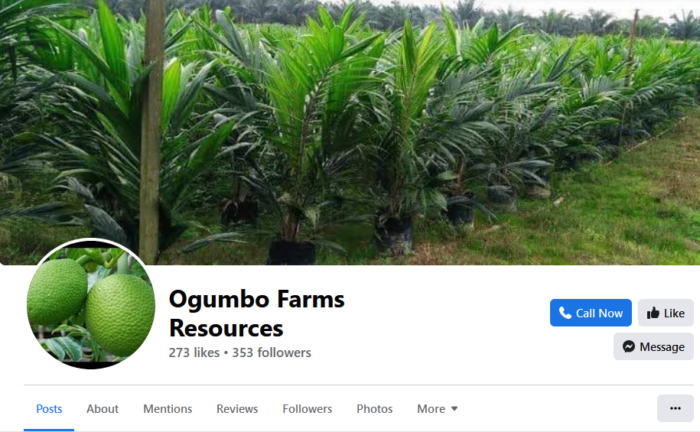Ogumbo farms Facebook page