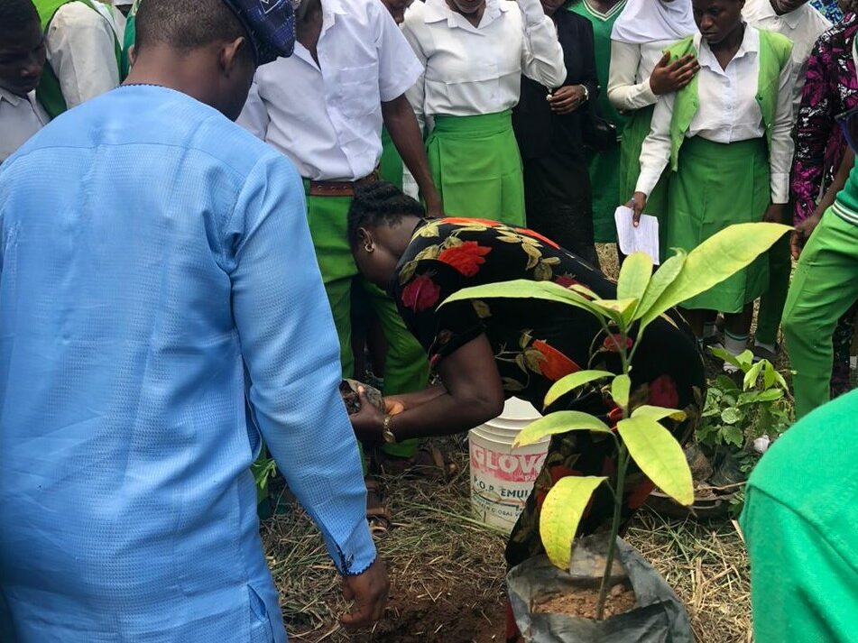 International Day of Forests: Ekiti NGO Takes Tree Planting to Secondary School