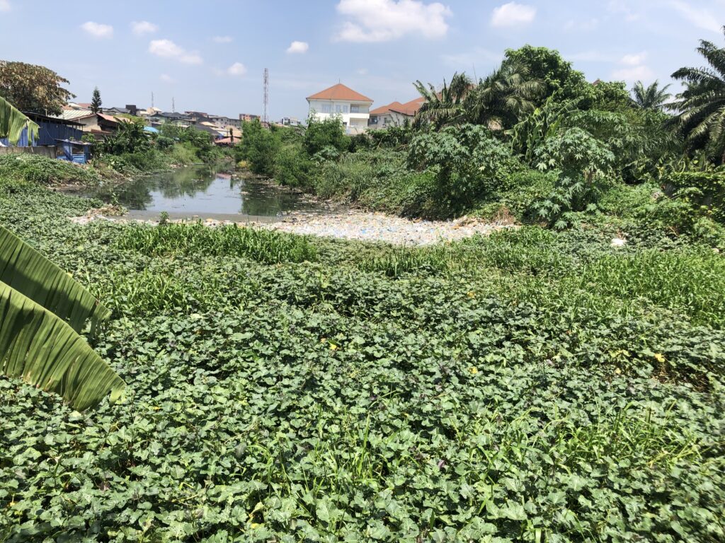 Water hyacinth and plastics on the Arowojobe-Bush Channel