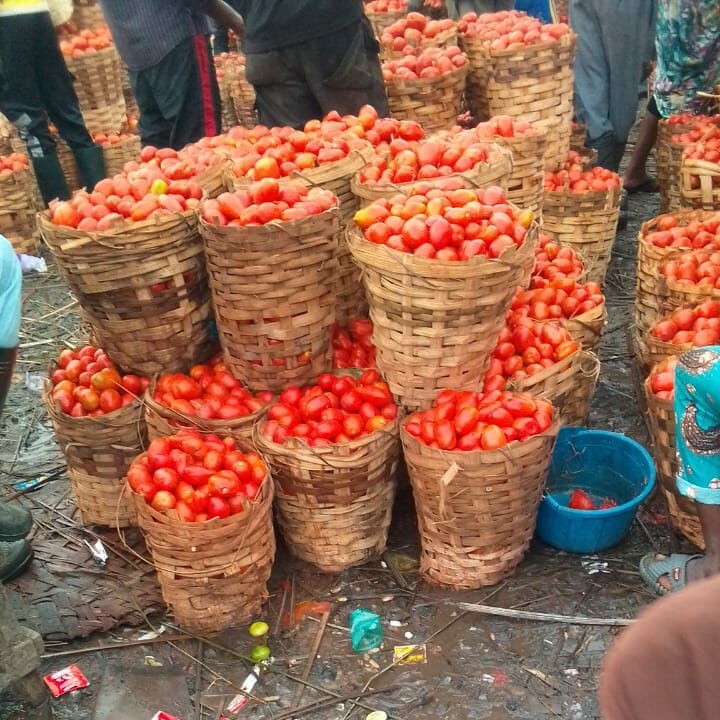Mile 12 market  Lagos