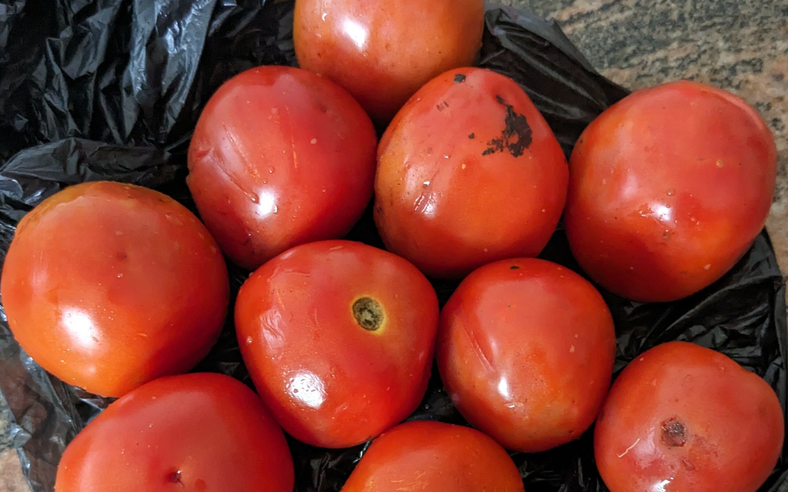 REPORTER'S DIARY: At Lagos Market Known for Cheap Food Items, I Got 10 Tomatoes for N1000
