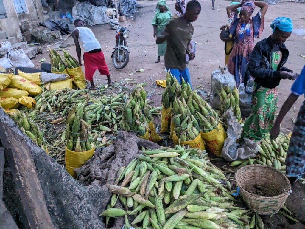Market boys packaging maize at Odo-Ori market in Iwo