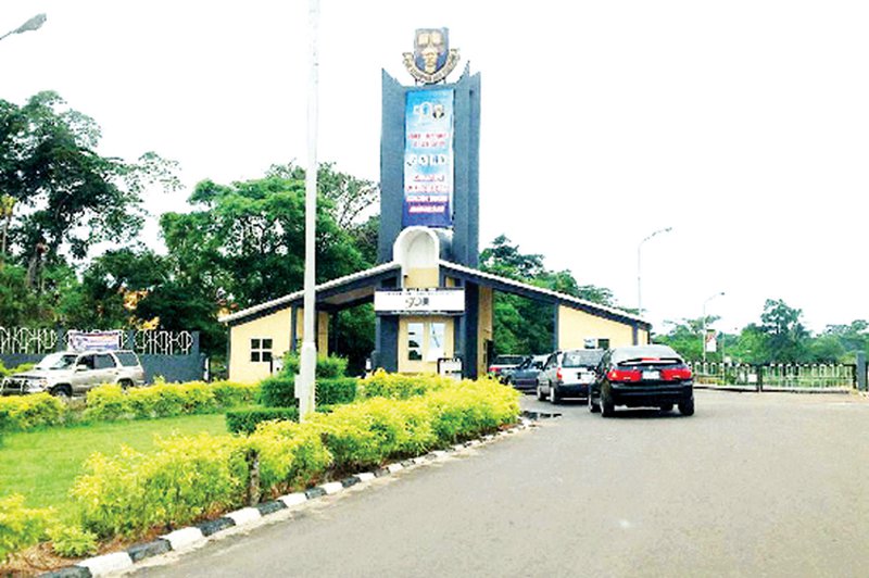 OAU Students' Union Writes Remita, Banks to Reject School Fee Payments Ahead of Public Protests