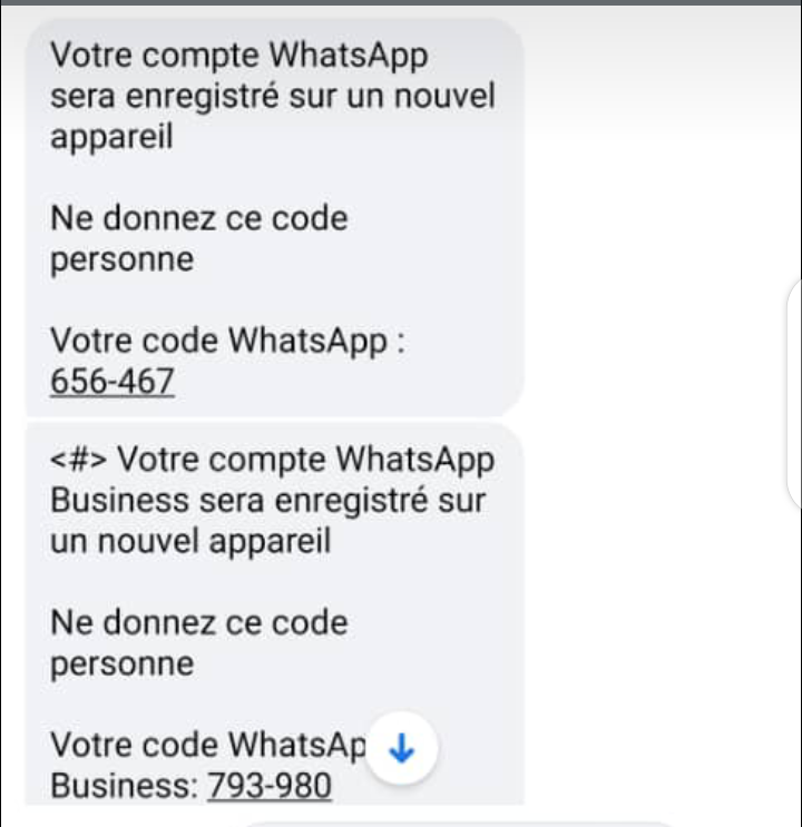 The Codes the Fraudster Used in Hacking Into the Victim's WhatsApp Profile