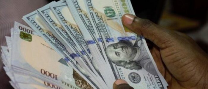 Naira and Dollar notes