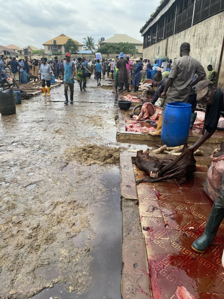 
People processing cow meat on the second slab steeped in cow dung and blood.