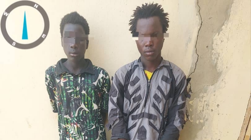2 Teenage Boko Haram Terrorists Surrender to Task Force in Borno