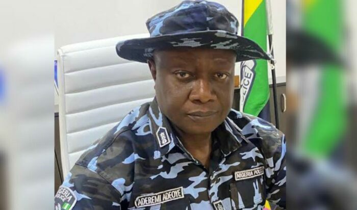Retired Commisioner of Police, Aderemi Adeoye