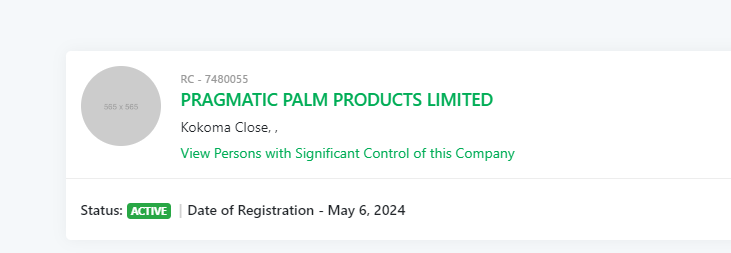 The newly registered Pragmatic Palms Limited company on the CAC portal